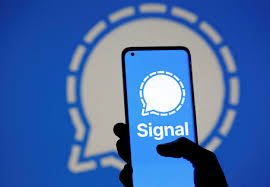 Signal中文
