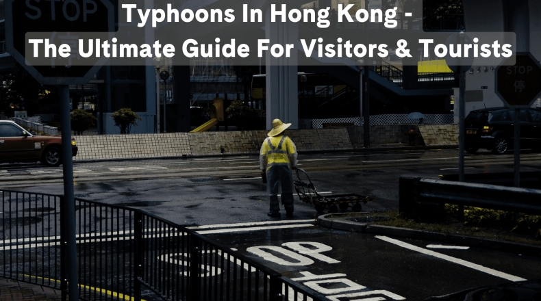 Signal中文版群组语音会议最多支持多少人