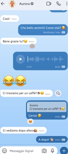 Signal中文版消息撤回时间限制说明