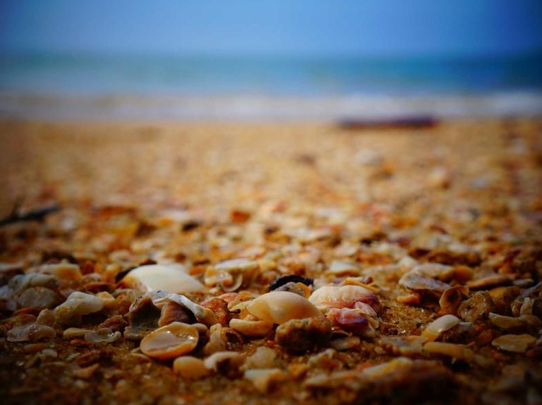 Signal中文版如何设置群成员不可见