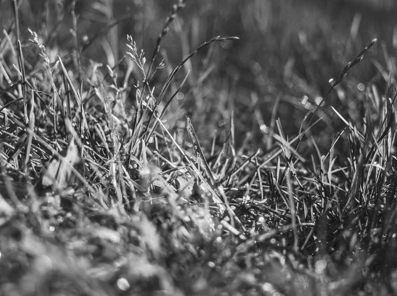 Signal下载后如何设置网络代理分流